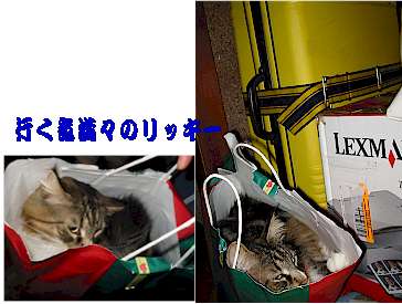 deto2.jpg (19968 �o�C�g)