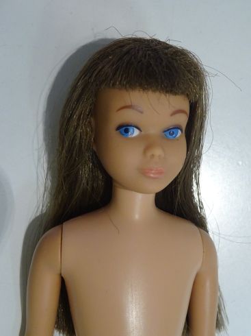 VINのスキッパーなど 子供達